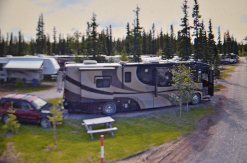 Tok Rv Village And Cabins Kamer foto